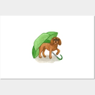 Cavalier King Charles Spaniel - Green Umbrella Ruby Posters and Art